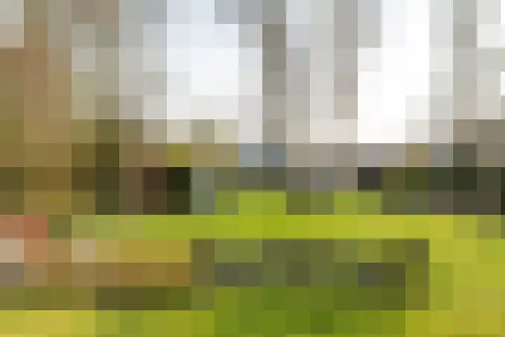 Rotstergaastweg 44 Nieuweschoot thumbnail 51