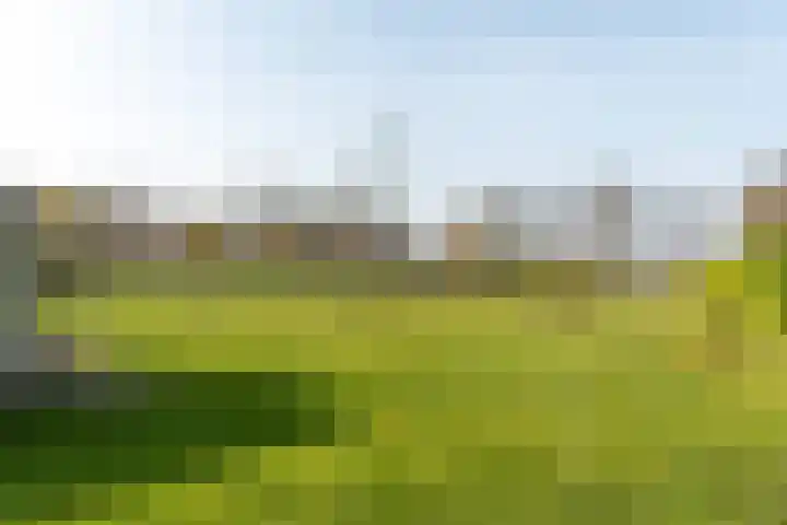 Rotstergaastweg 44 Nieuweschoot thumbnail 52