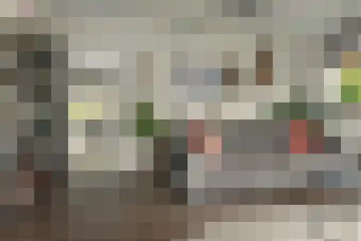 Rotstergaastweg 44 Nieuweschoot thumbnail 7