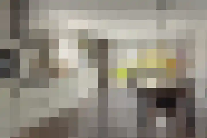 Rotstergaastweg 44 Nieuweschoot thumbnail 8