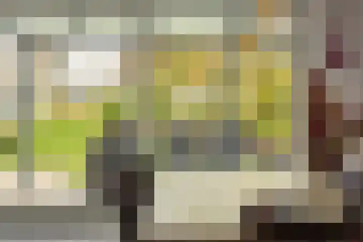 Rotstergaastweg 44 Nieuweschoot thumbnail 9