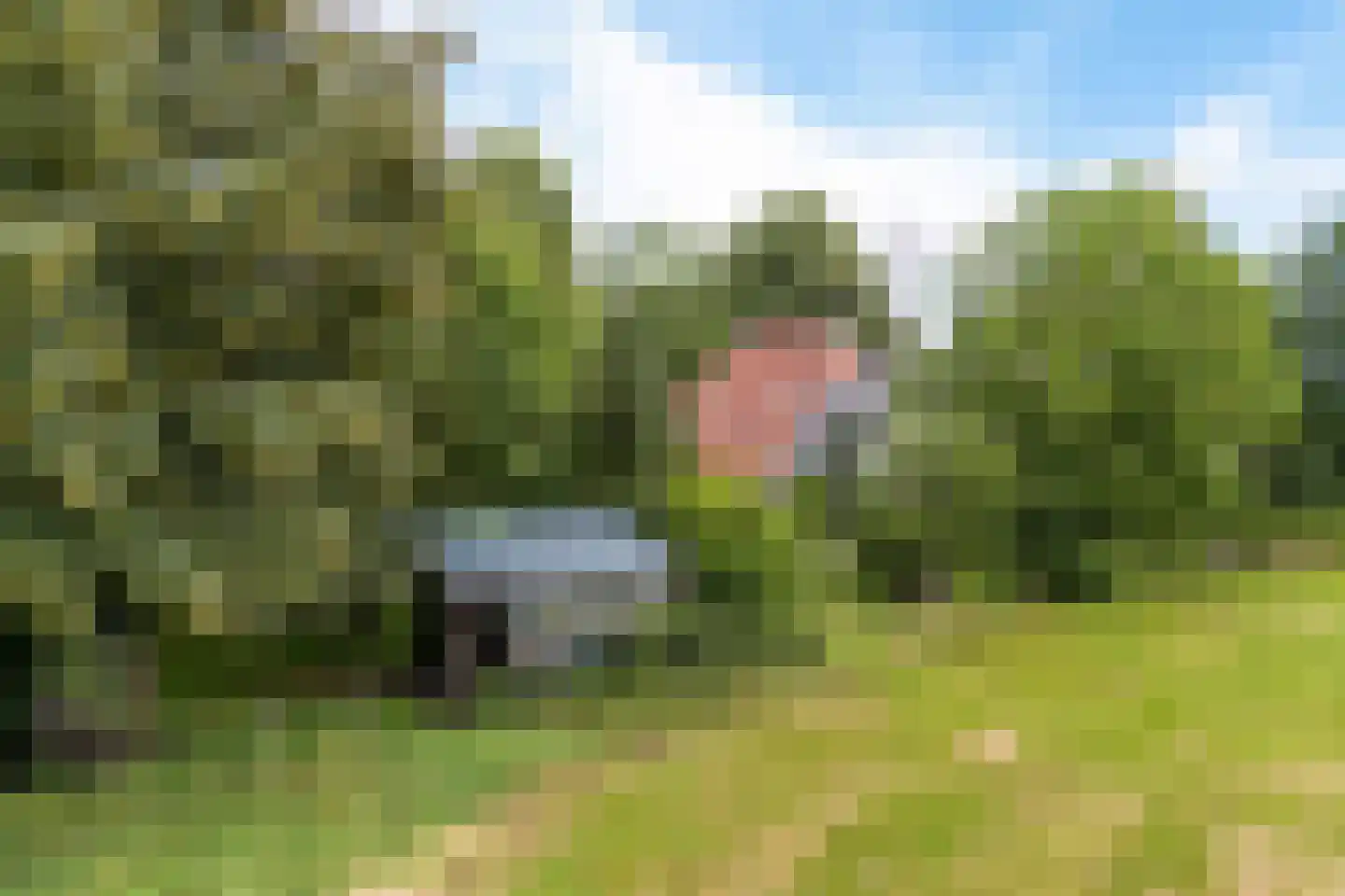 Rotstergaastweg 87 Nieuweschoot thumbnail 15
