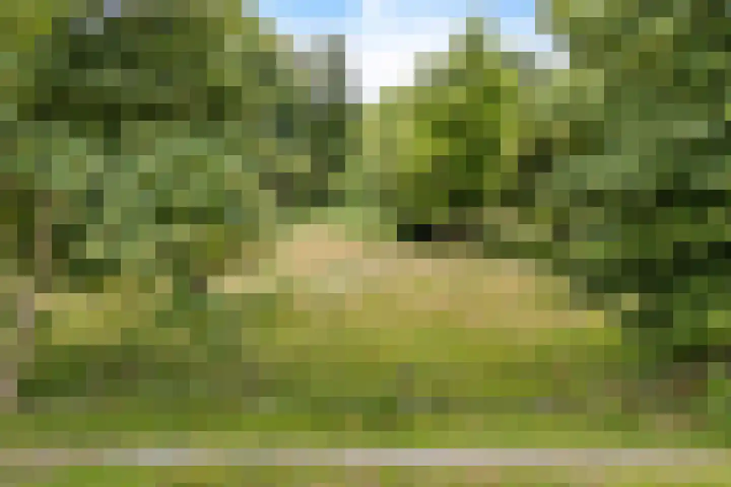 Rotstergaastweg 87 Nieuweschoot thumbnail 17