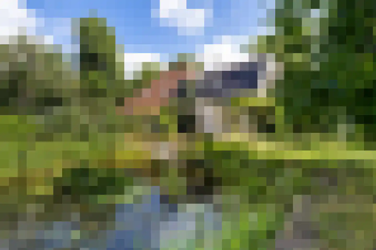 Rotstergaastweg 87 Nieuweschoot thumbnail 18