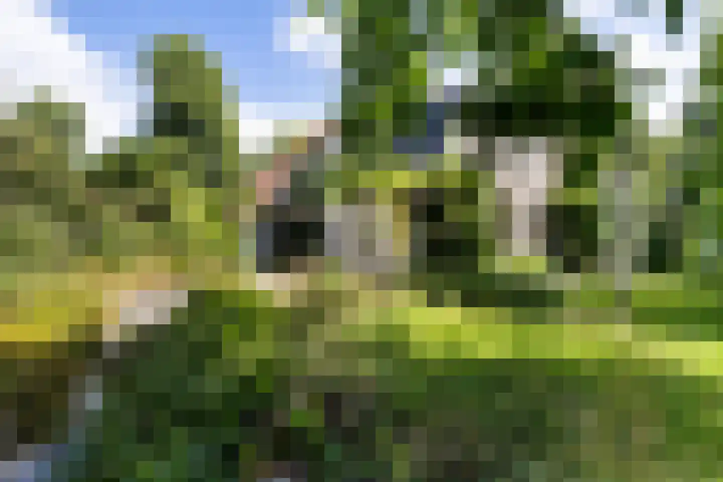 Rotstergaastweg 87 Nieuweschoot thumbnail 19
