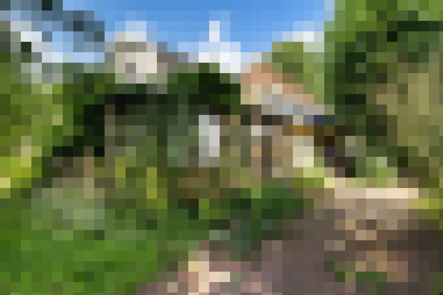 Rotstergaastweg 87 Nieuweschoot thumbnail 20