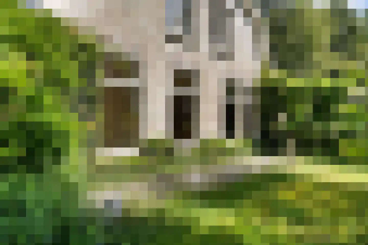 Rotstergaastweg 87 Nieuweschoot thumbnail 22