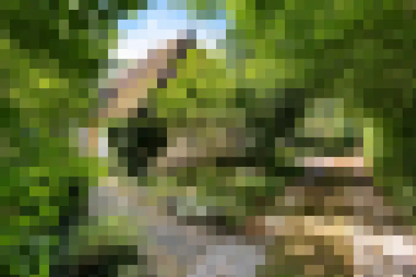 Rotstergaastweg 87 Nieuweschoot thumbnail 23
