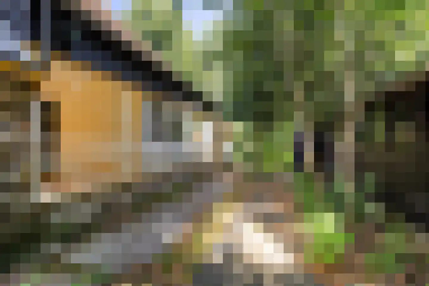 Rotstergaastweg 87 Nieuweschoot thumbnail 24