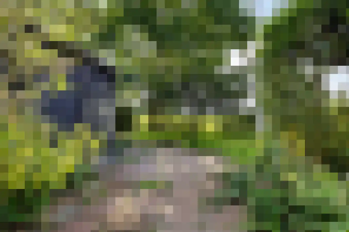 Rotstergaastweg 87 Nieuweschoot thumbnail 25