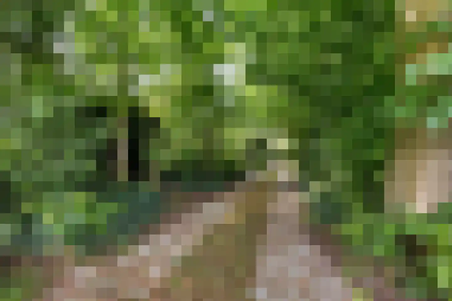 Rotstergaastweg 87 Nieuweschoot thumbnail 26