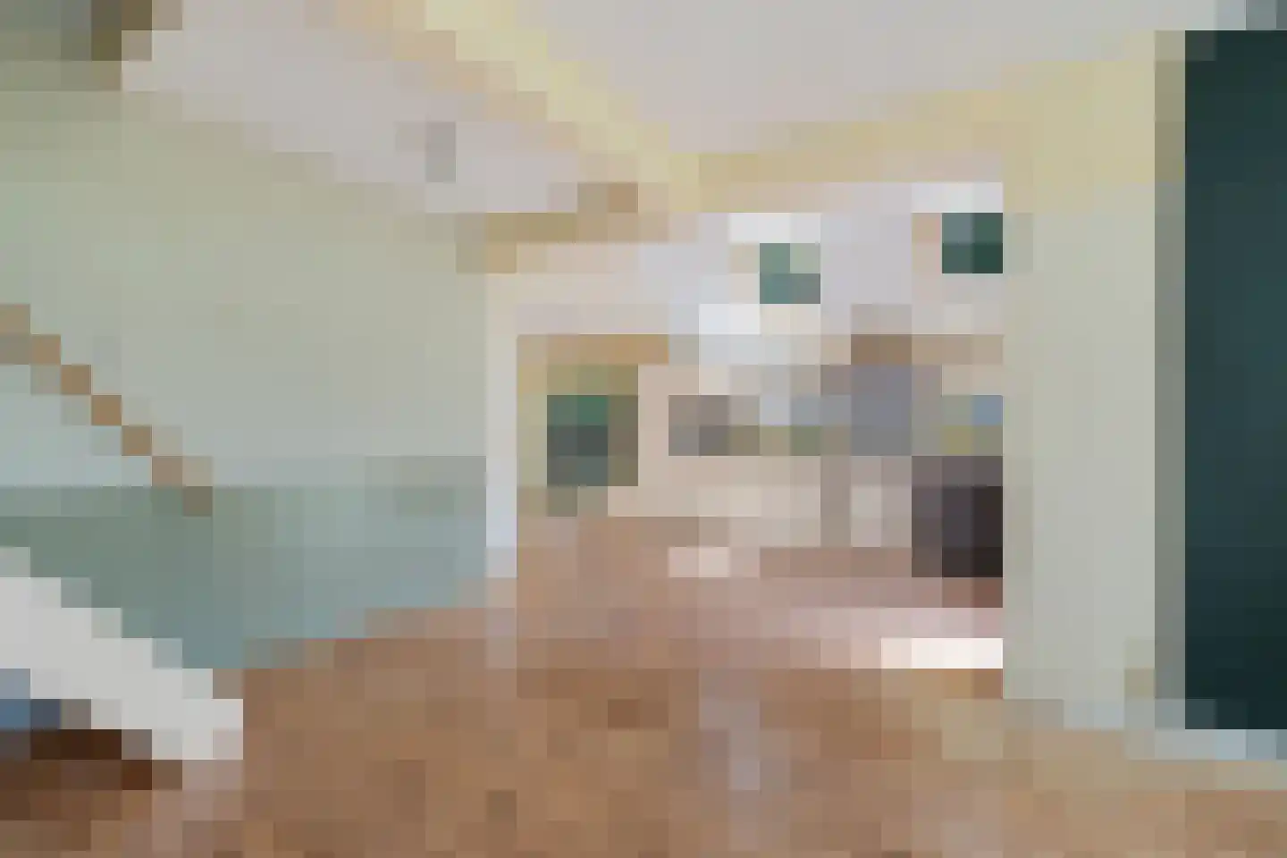 Rotstergaastweg 87 Nieuweschoot thumbnail 30