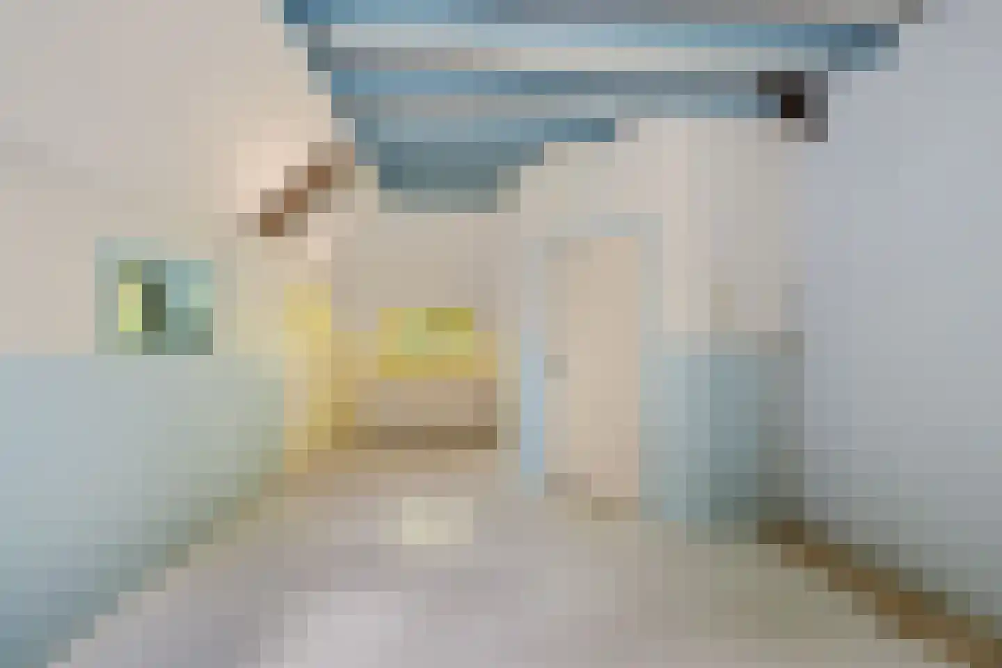 Rotstergaastweg 87 Nieuweschoot thumbnail 31