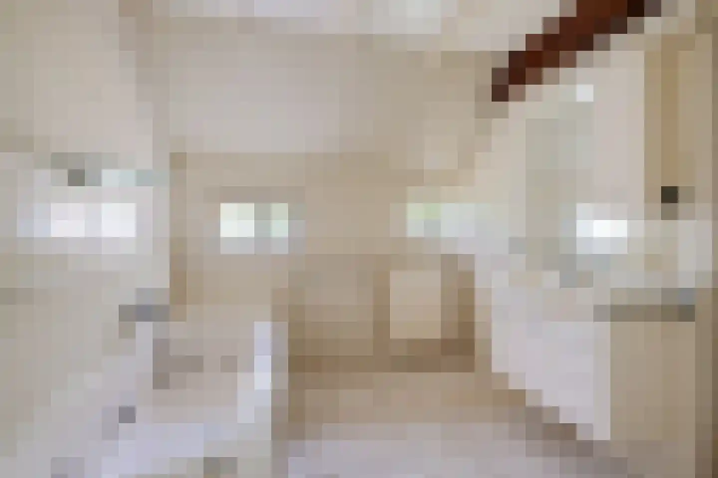 Rotstergaastweg 87 Nieuweschoot thumbnail 32