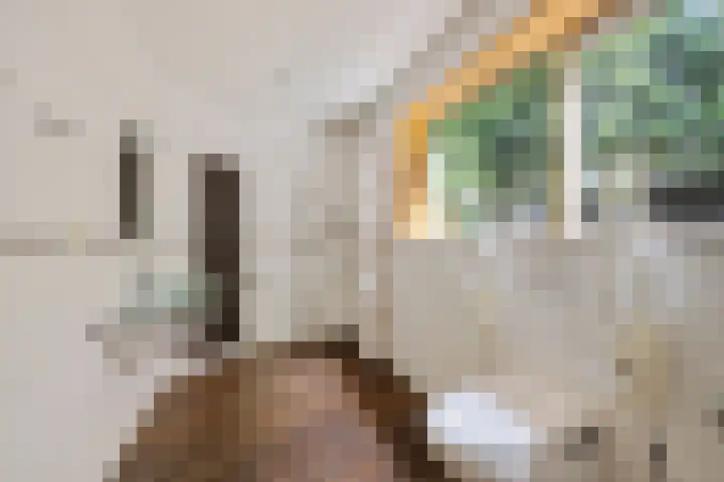 Rotstergaastweg 87 Nieuweschoot thumbnail 33