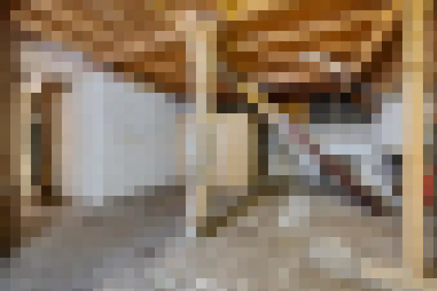 Rotstergaastweg 87 Nieuweschoot thumbnail 34