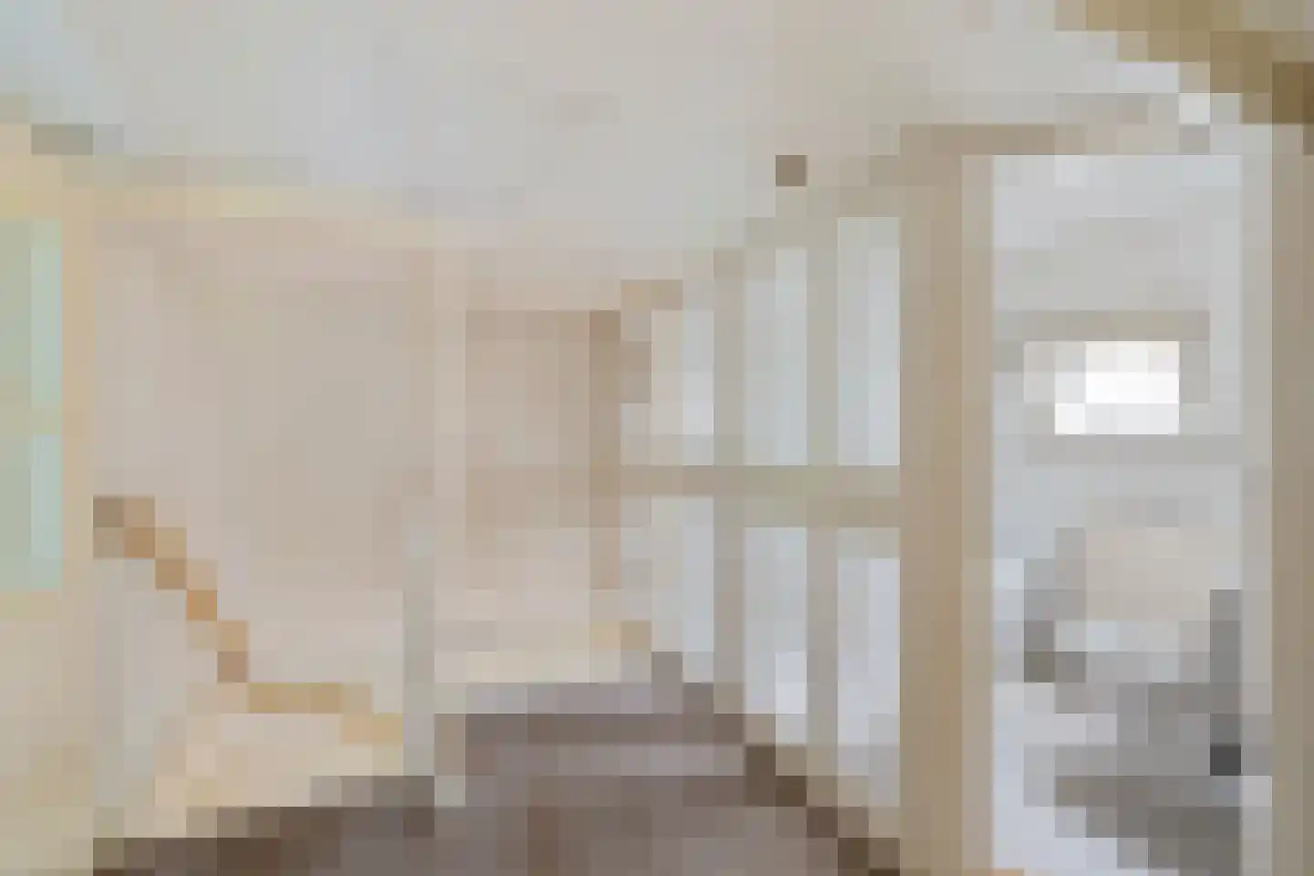 Rotstergaastweg 87 Nieuweschoot thumbnail 35