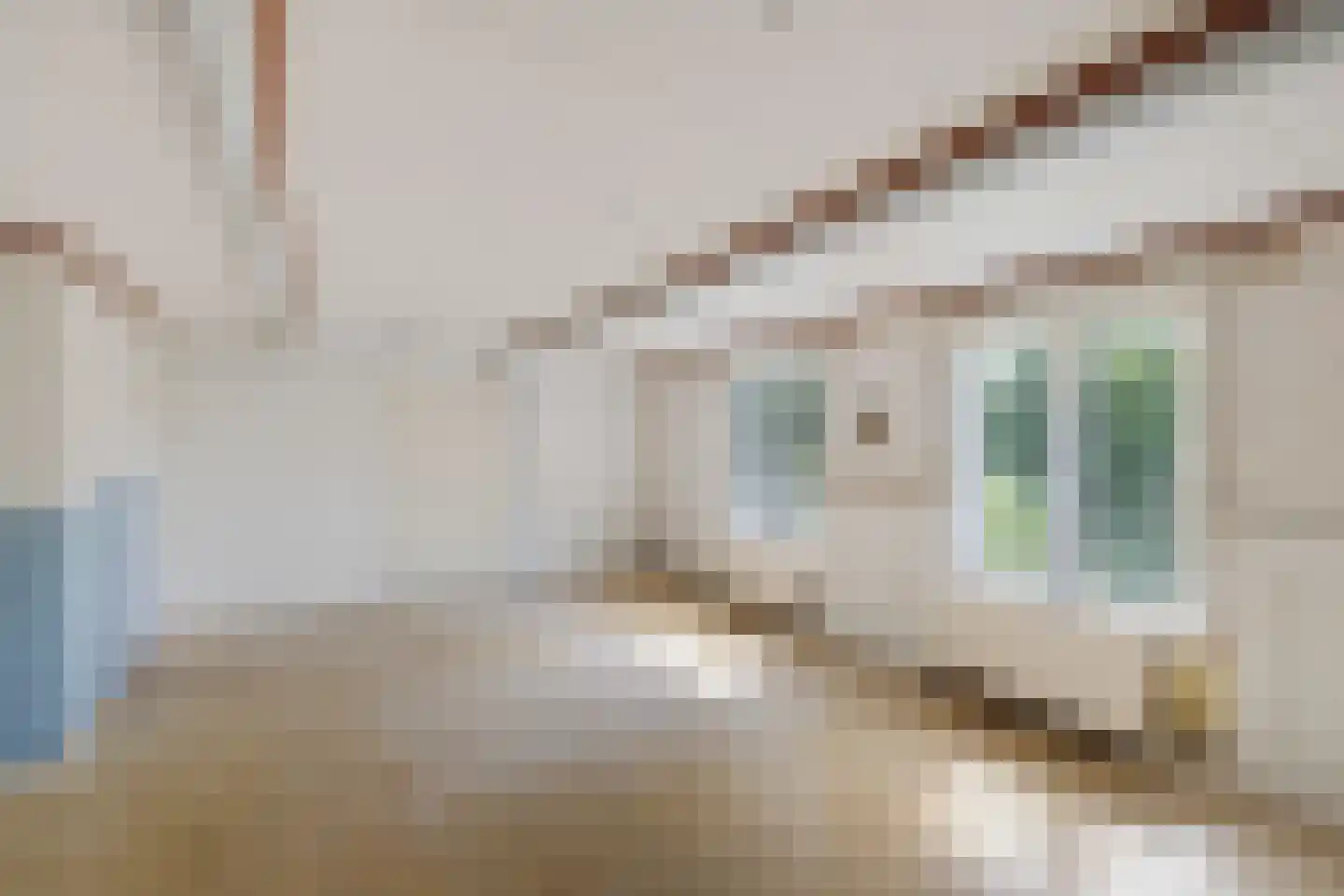 Rotstergaastweg 87 Nieuweschoot thumbnail 36