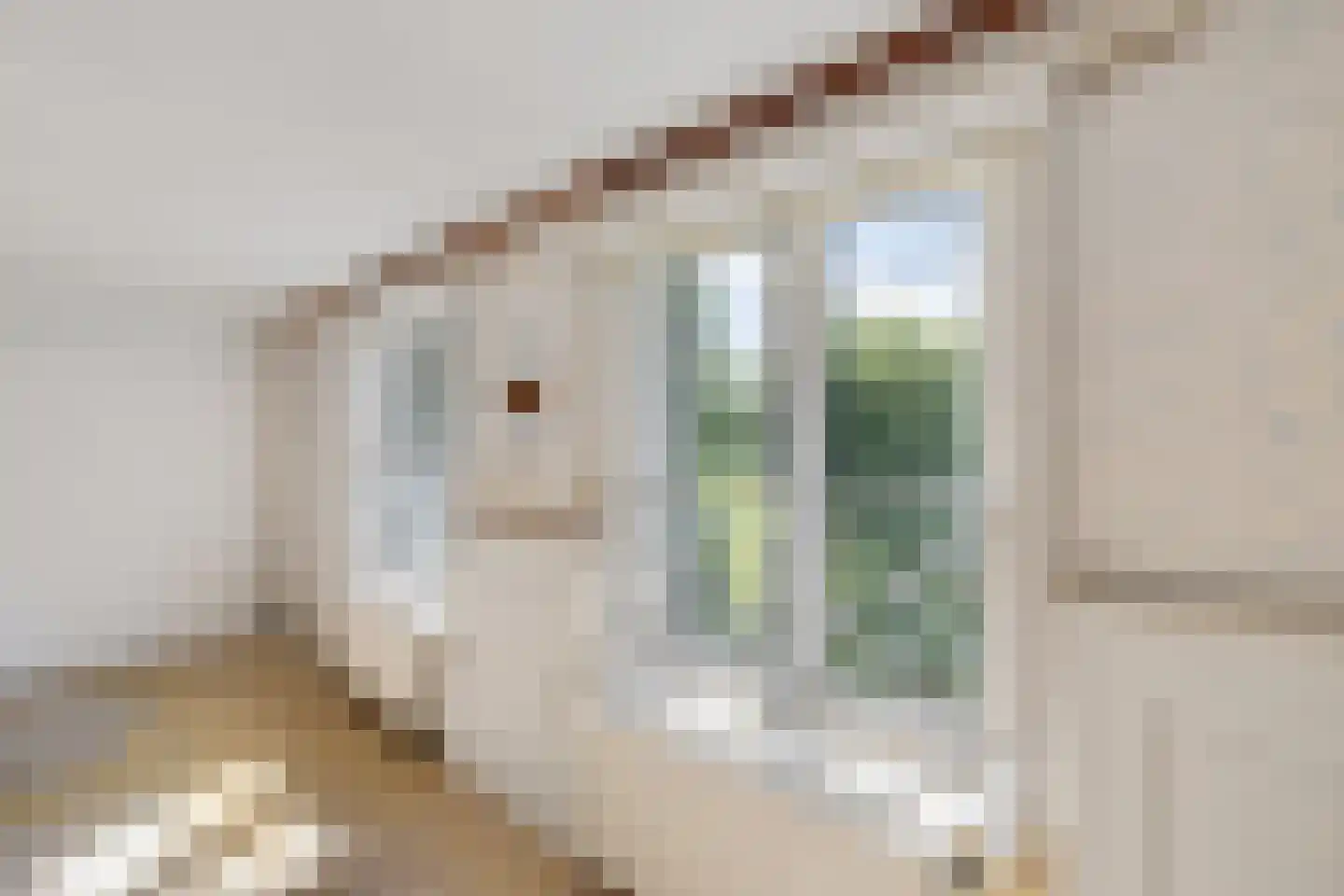 Rotstergaastweg 87 Nieuweschoot thumbnail 37