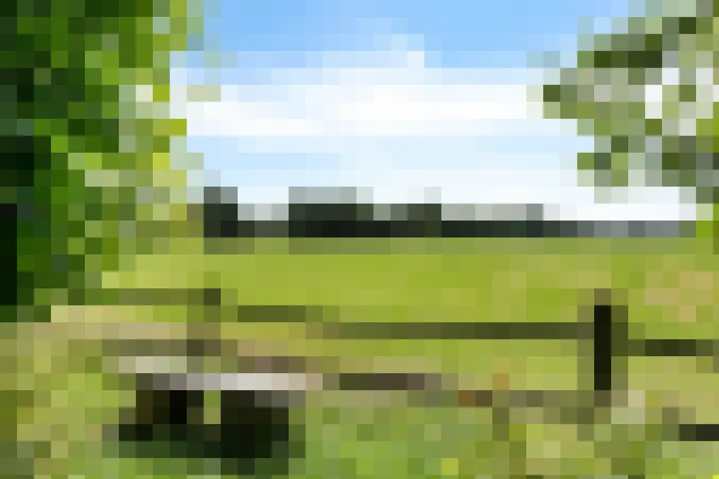 Rotstergaastweg 87 Nieuweschoot thumbnail 39
