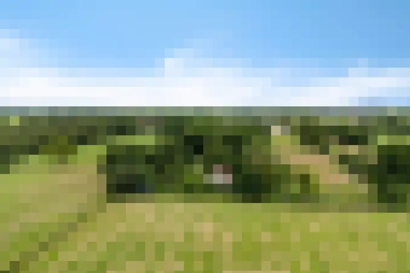 Rotstergaastweg 87 Nieuweschoot thumbnail 4