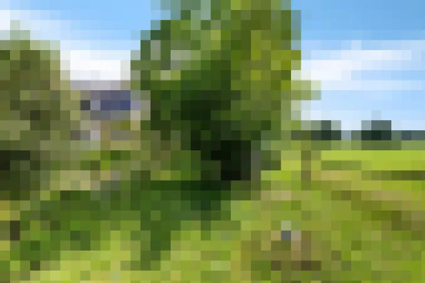 Rotstergaastweg 87 Nieuweschoot thumbnail 41