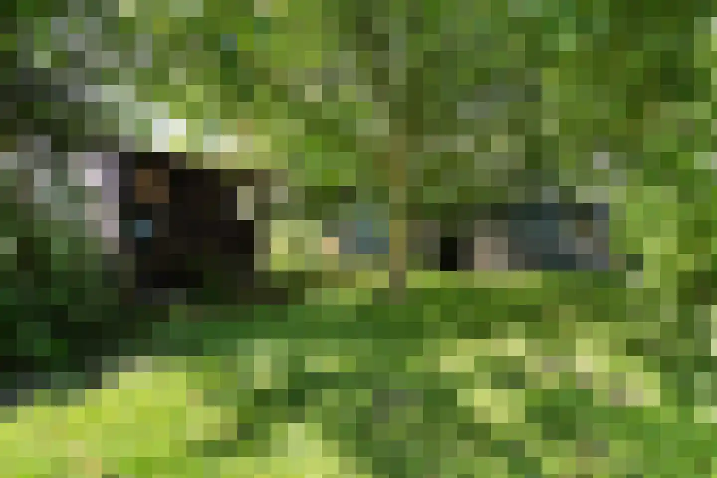 Rotstergaastweg 87 Nieuweschoot thumbnail 42