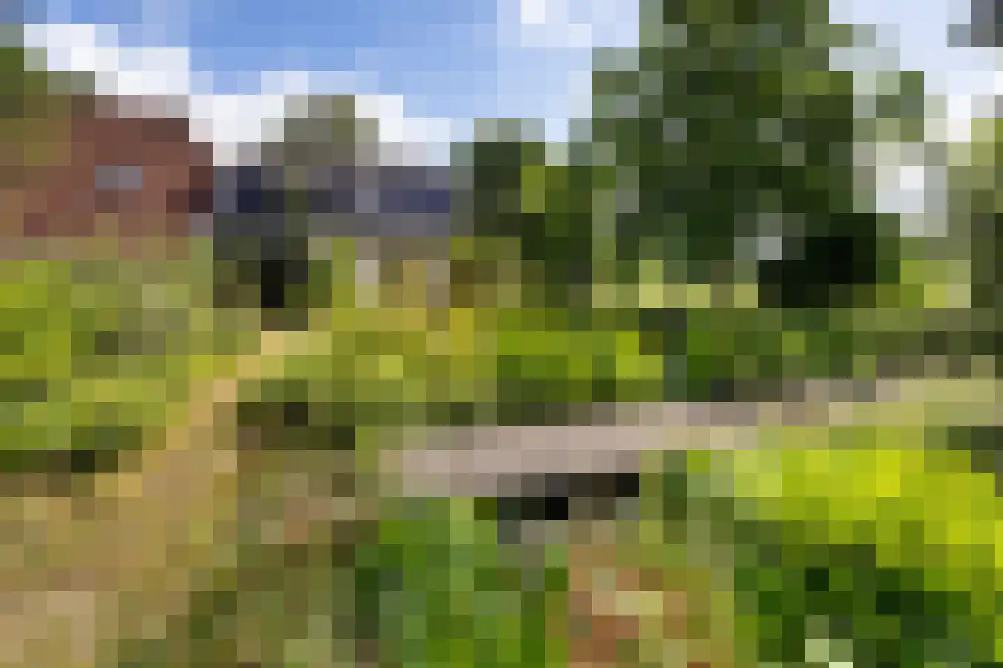 Rotstergaastweg 87 Nieuweschoot thumbnail 43