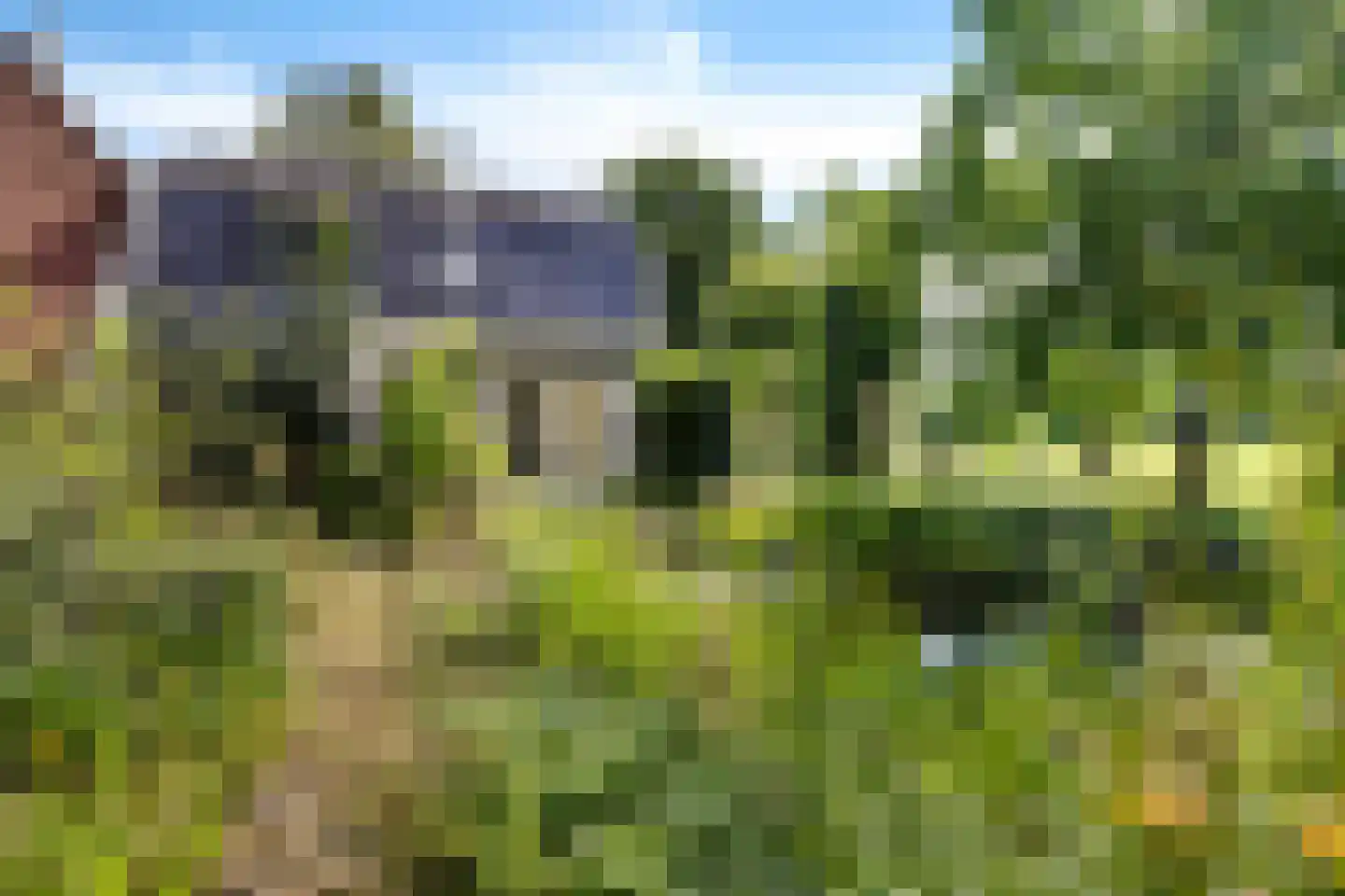 Rotstergaastweg 87 Nieuweschoot thumbnail 44