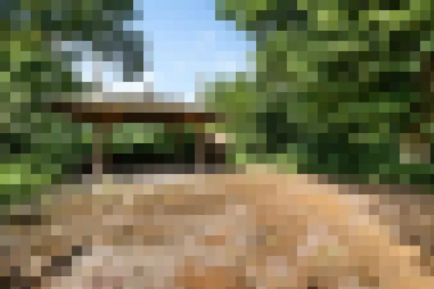 Rotstergaastweg 87 Nieuweschoot thumbnail 45