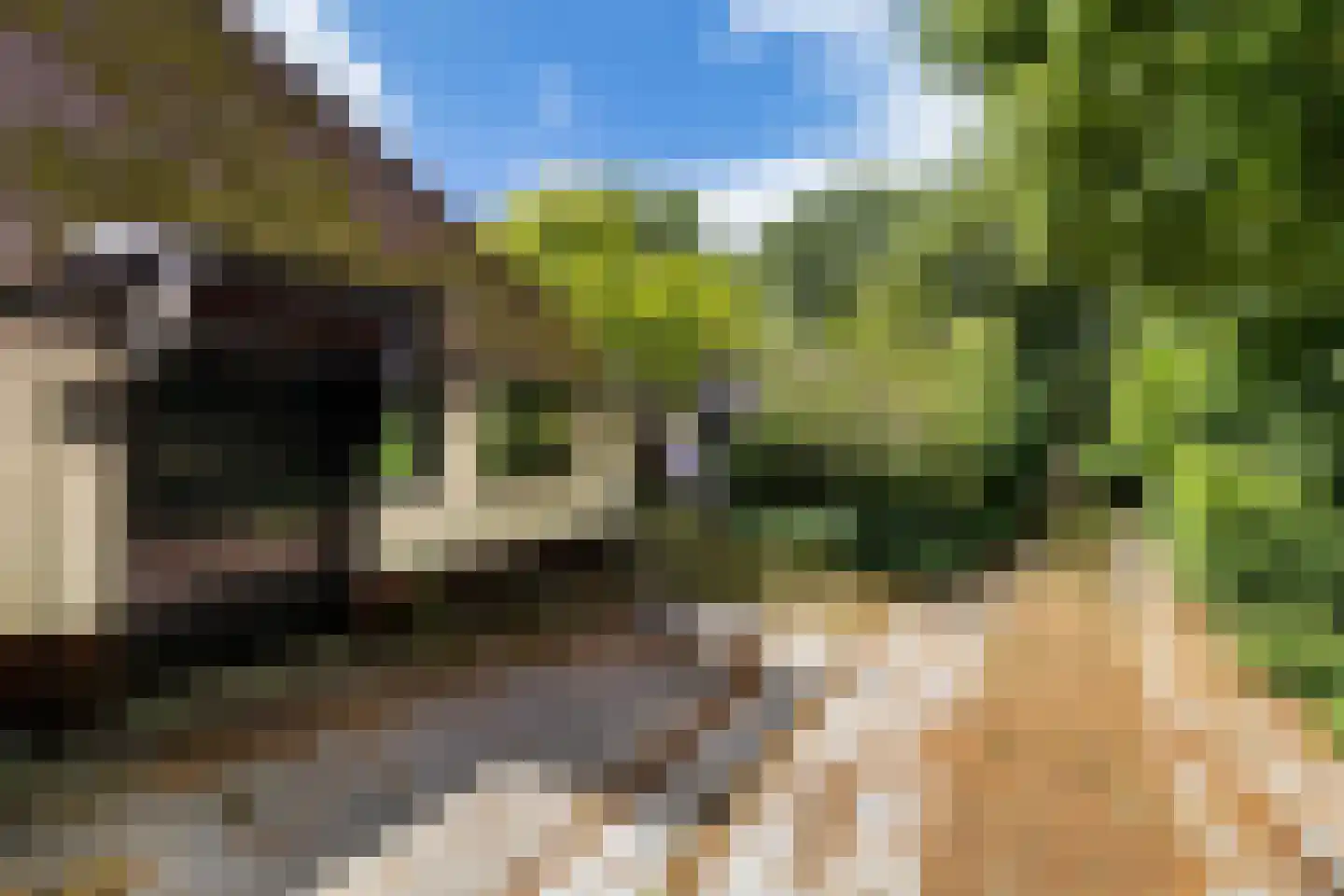 Rotstergaastweg 87 Nieuweschoot thumbnail 47