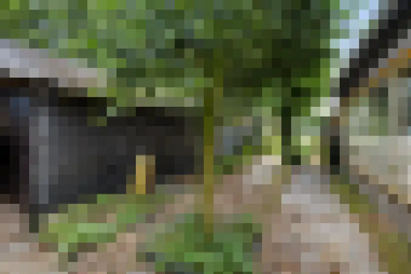 Rotstergaastweg 87 Nieuweschoot thumbnail 48