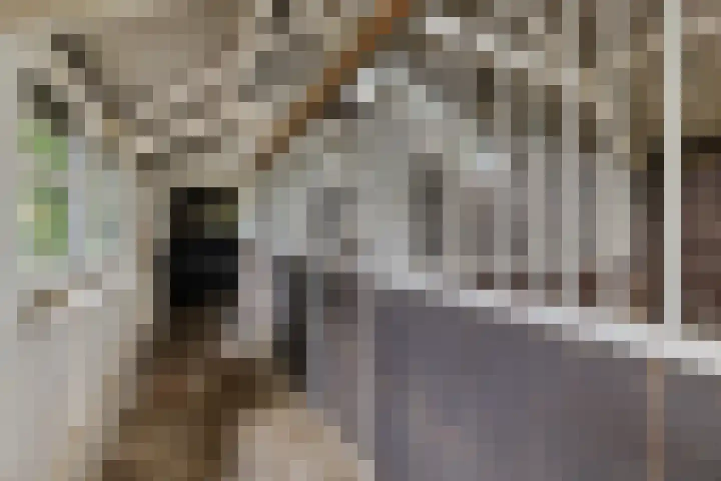 Rotstergaastweg 87 Nieuweschoot thumbnail 49