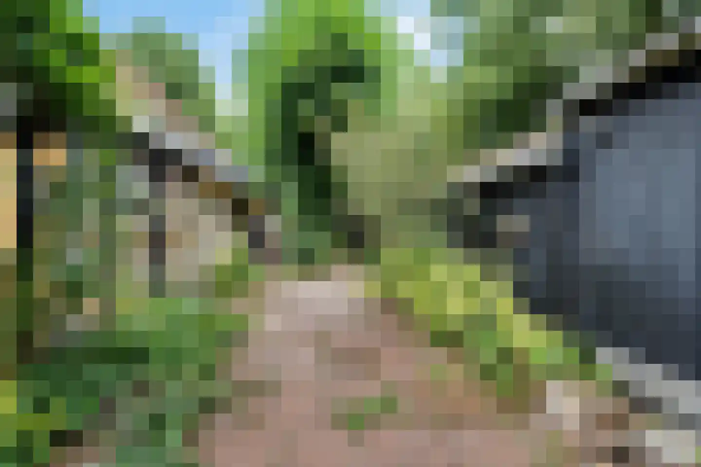 Rotstergaastweg 87 Nieuweschoot thumbnail 51