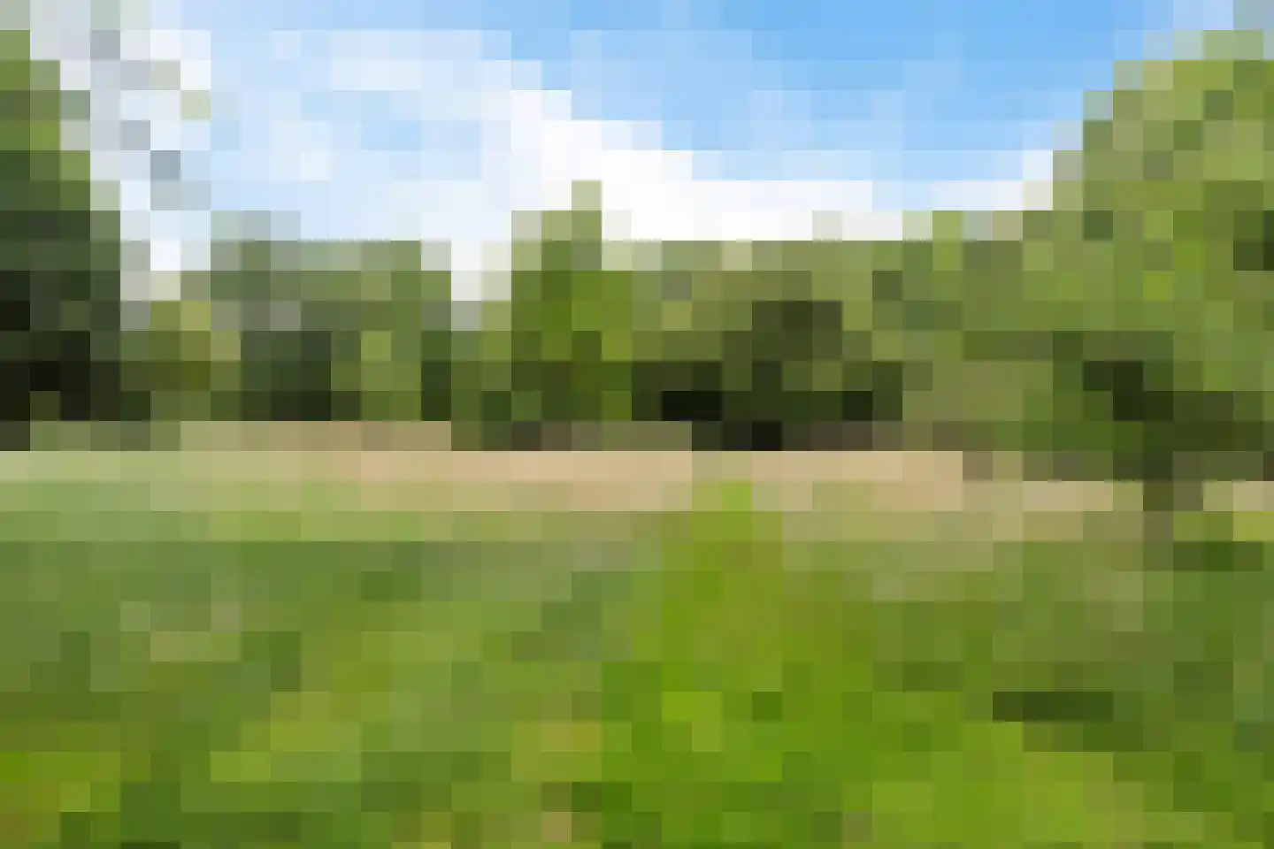 Rotstergaastweg 87 Nieuweschoot thumbnail 52