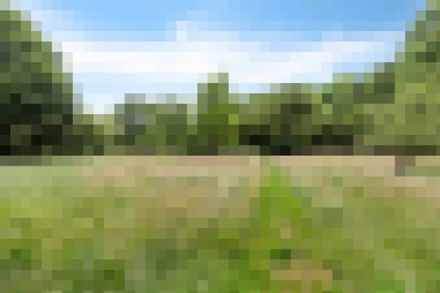 Rotstergaastweg 87 Nieuweschoot thumbnail 53