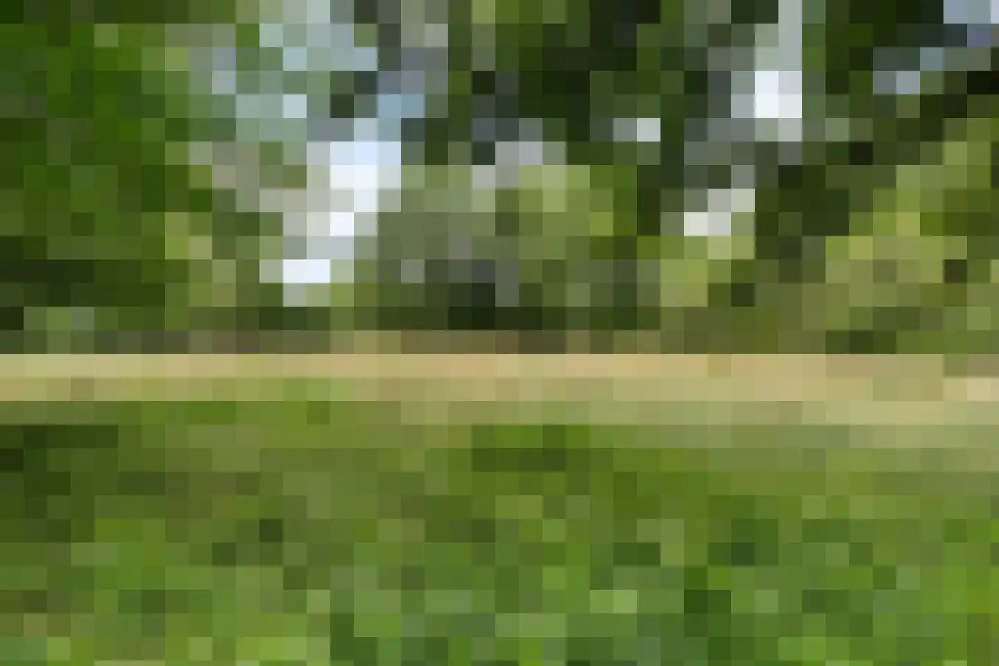 Rotstergaastweg 87 Nieuweschoot thumbnail 54