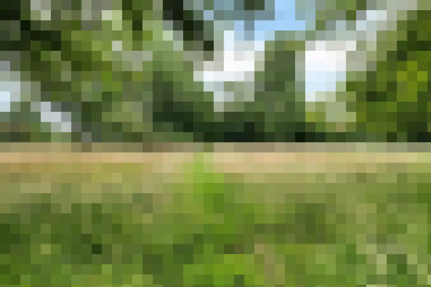 Rotstergaastweg 87 Nieuweschoot thumbnail 55