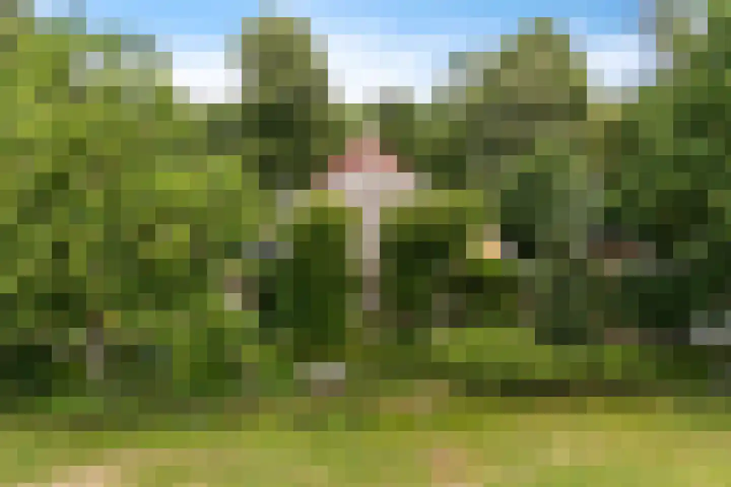 Rotstergaastweg 87 Nieuweschoot thumbnail 8