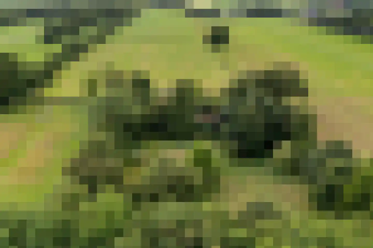 Rotstergaastweg 87 Nieuweschoot thumbnail 9