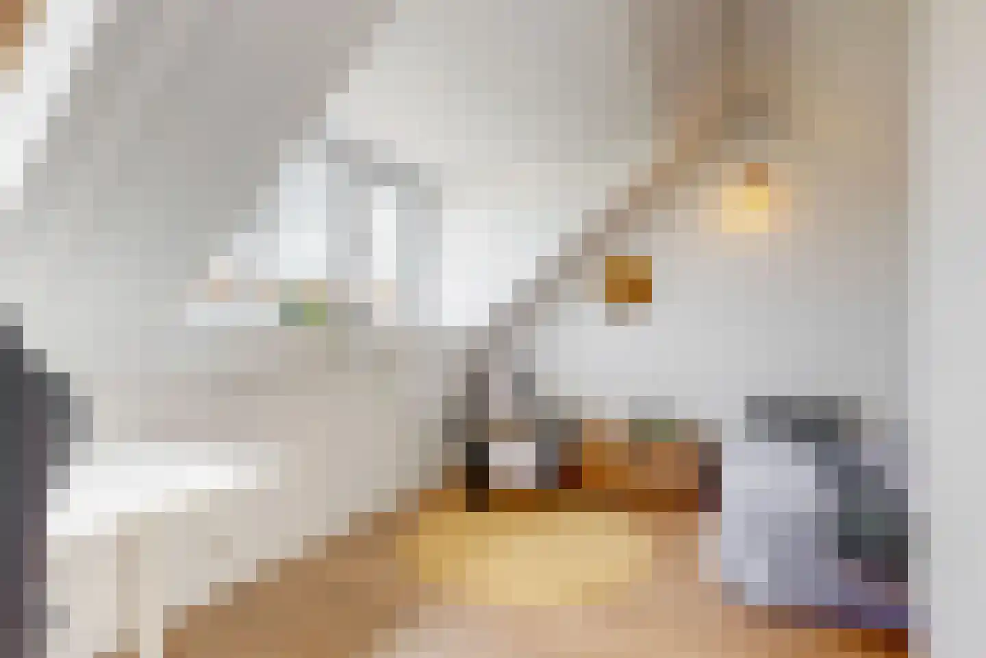 Rotstuinlaan 1 Vleuten thumbnail 18