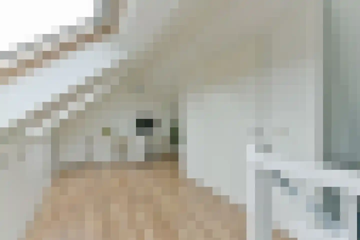 Rotstuinlaan 5 Vleuten thumbnail 35