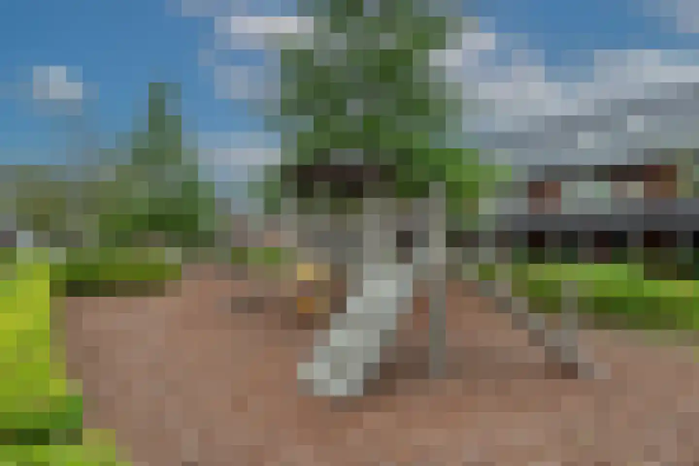 Rotstuinlaan 5 Vleuten thumbnail 40