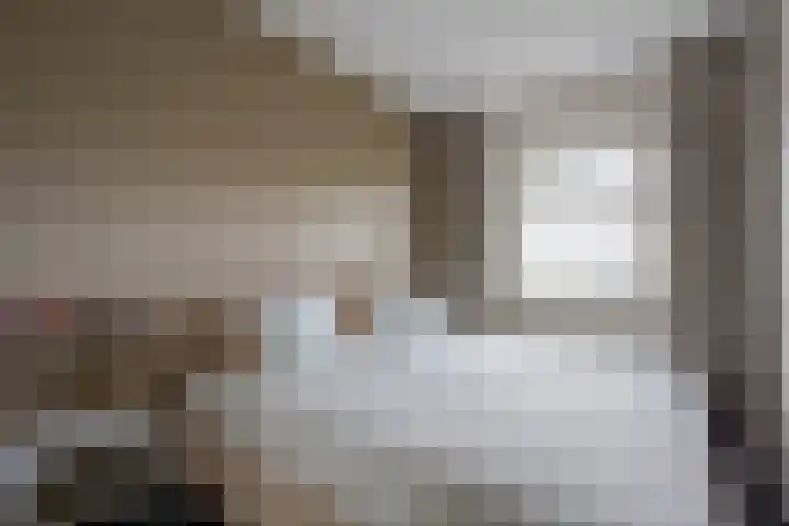 Rotsvlinder 30 Nijkerk thumbnail 16