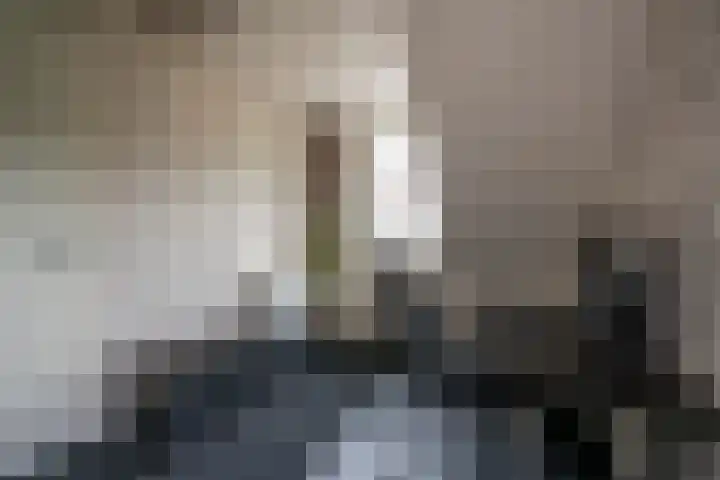 Rotsvlinder 30 Nijkerk thumbnail 19