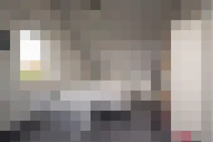 Rotsvlinder 30 Nijkerk thumbnail 28