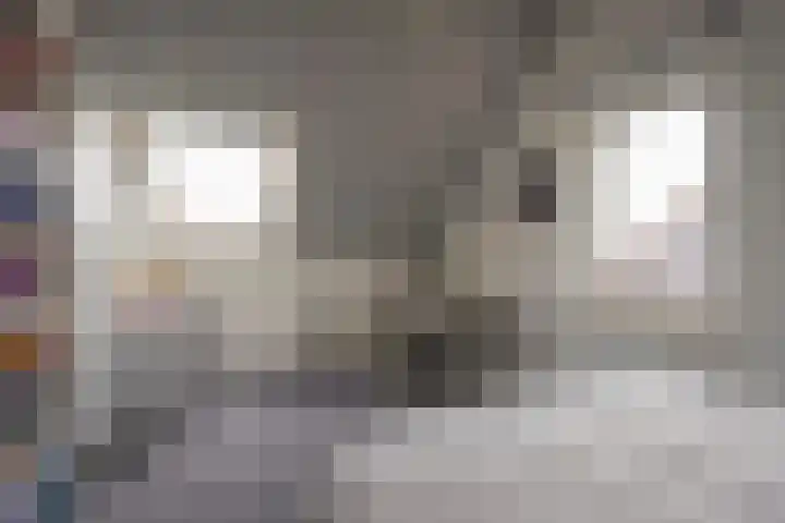 Rotsvlinder 30 Nijkerk thumbnail 29