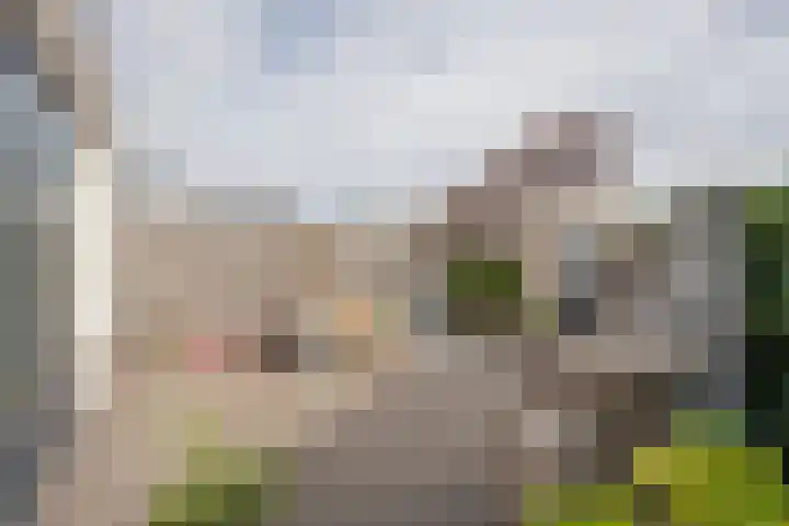 Rotsvlinder 30 Nijkerk thumbnail 30