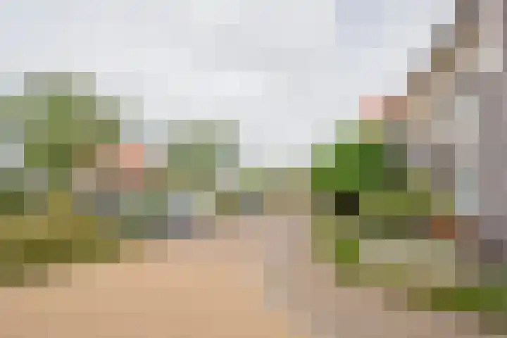 Rotsvlinder 30 Nijkerk thumbnail 35