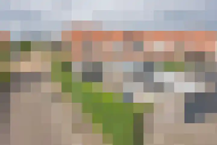 Rotsvlinder 30 Nijkerk thumbnail 39